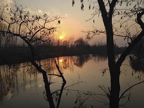 藝術(shù)與數(shù)字的雙重奏 設(shè)計(jì)藝術(shù)學(xué)院學(xué)子以個(gè)人互聯(lián)網(wǎng)服務(wù)榮獲中華杯全國(guó)文學(xué)創(chuàng)作大賽三等獎(jiǎng)